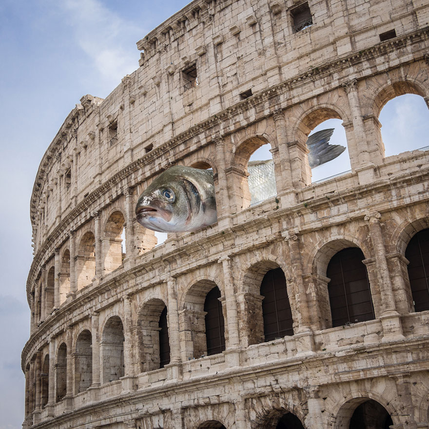 I Like To Use Photoshop For My Photographic Adventures I Like To Use Photoshop For My Photographic Adventures