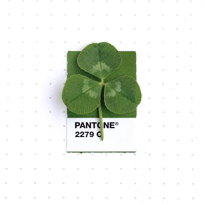 Designer Pairs Pantone Swatches With Tiny Everyday Objects Designer Pairs Pantone Swatches With Tiny Everyday Objects