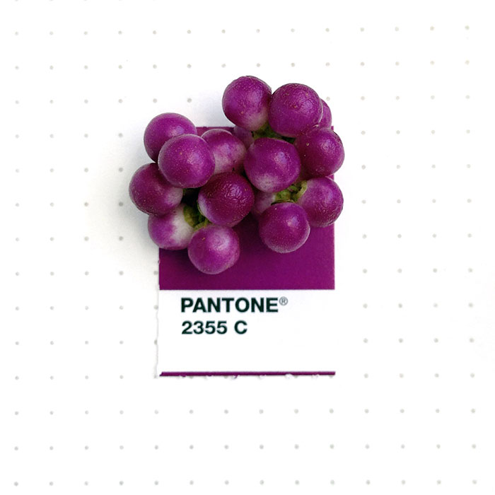 Designer Pairs Pantone Swatches With Tiny Everyday Objects Designer Pairs Pantone Swatches With Tiny Everyday Objects