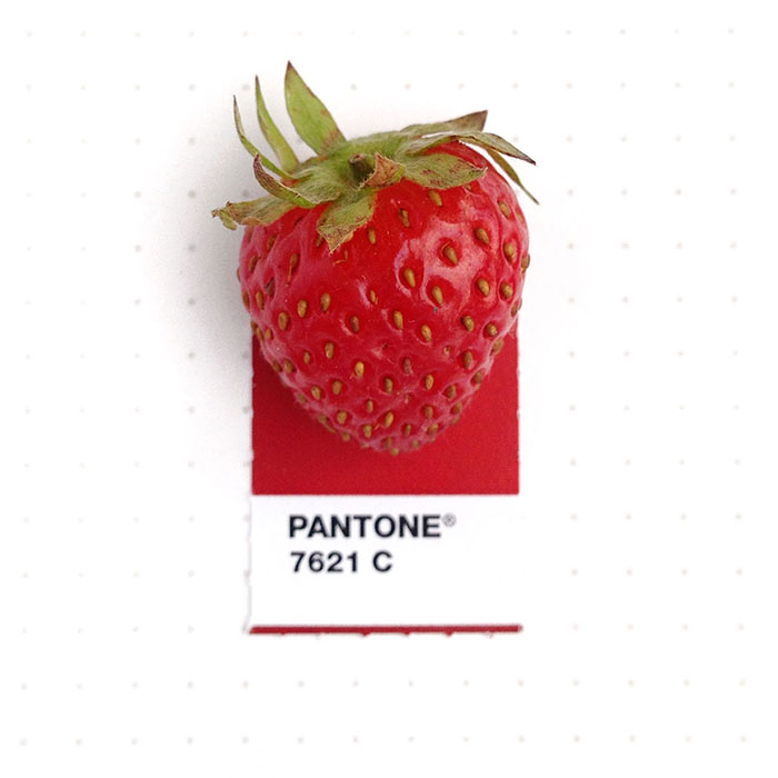 Designer Pairs Pantone Swatches With Tiny Everyday Objects Designer Pairs Pantone Swatches With Tiny Everyday Objects