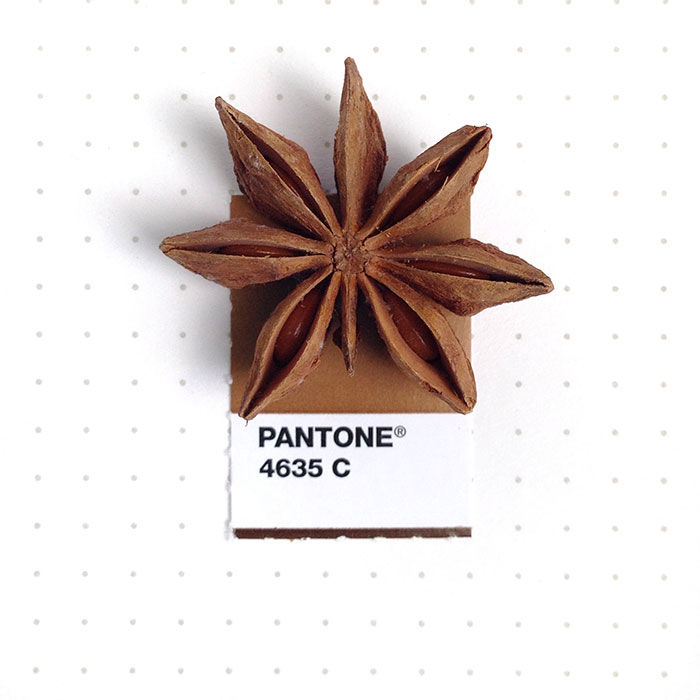 Designer Pairs Pantone Swatches With Tiny Everyday Objects Designer Pairs Pantone Swatches With Tiny Everyday Objects