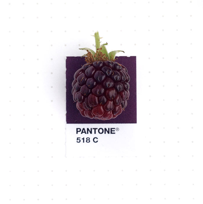 Designer Pairs Pantone Swatches With Tiny Everyday Objects Designer Pairs Pantone Swatches With Tiny Everyday Objects