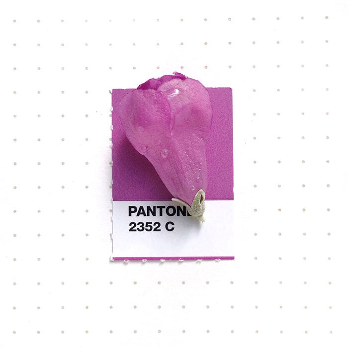 Designer Pairs Pantone Swatches With Tiny Everyday Objects Designer Pairs Pantone Swatches With Tiny Everyday Objects
