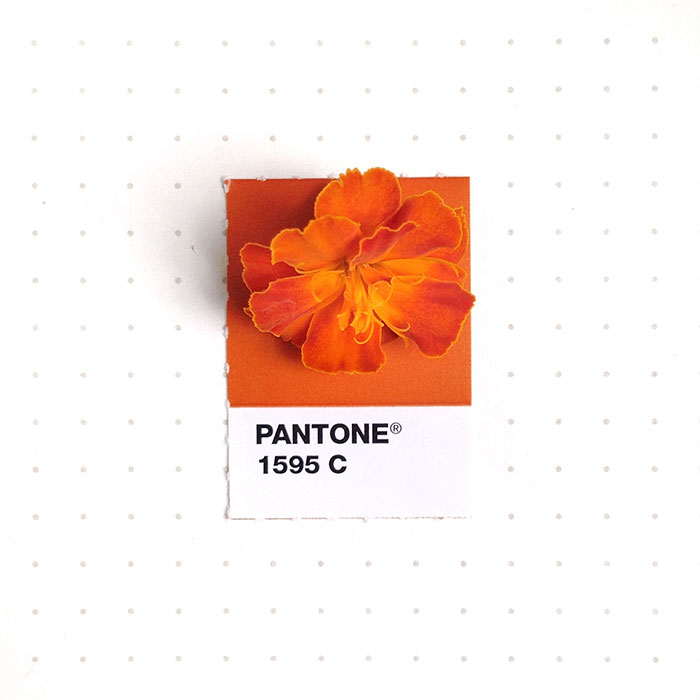 Designer Pairs Pantone Swatches With Tiny Everyday Objects Designer Pairs Pantone Swatches With Tiny Everyday Objects
