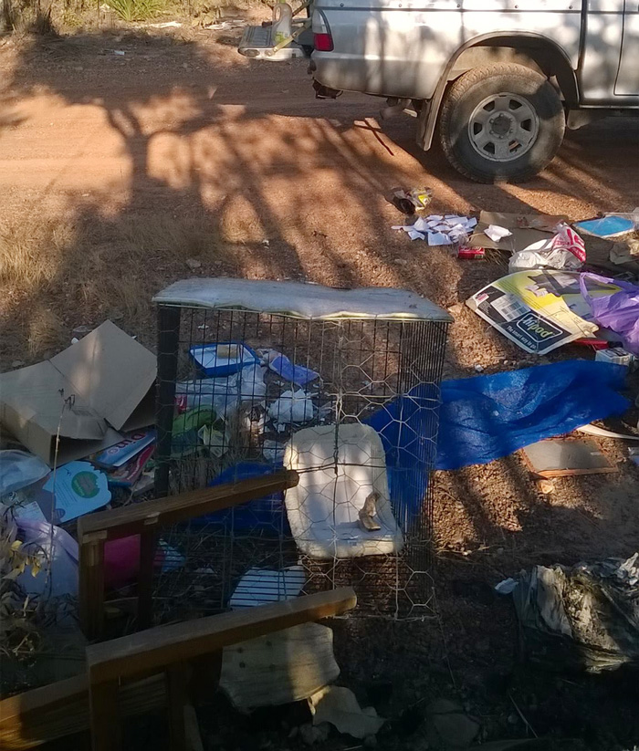 Illegal Dumper Leaves ID In His Trash And Gets It Returned To His Front Yard Illegal Dumper Leaves ID In His Trash And Gets It Returned To His Front Yard