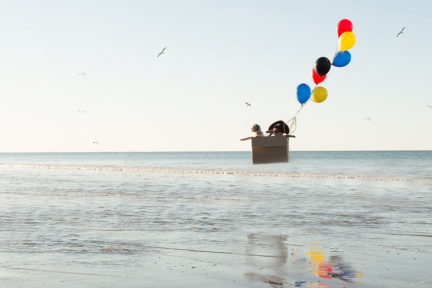 I’m As Crazy About Photography As I’m About My Kids I’m As Crazy About Photography As I’m About My Kids