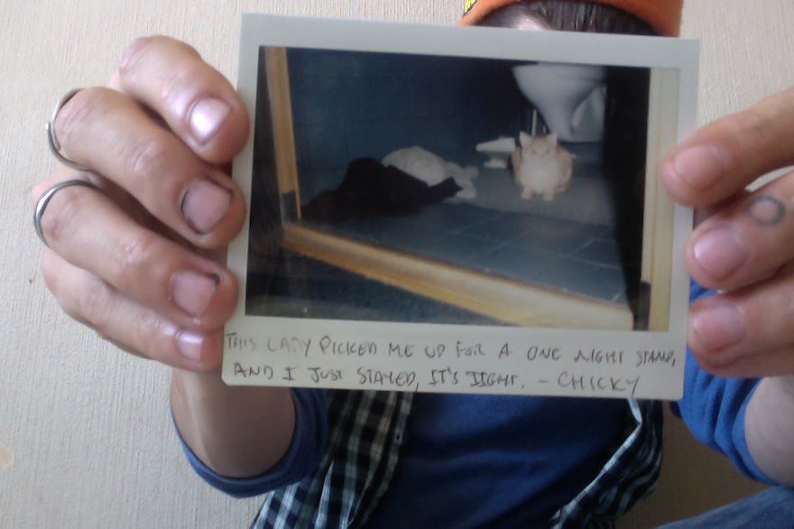 129 Cats&#8217; Deepest Secrets Revealed On Felines Of New York