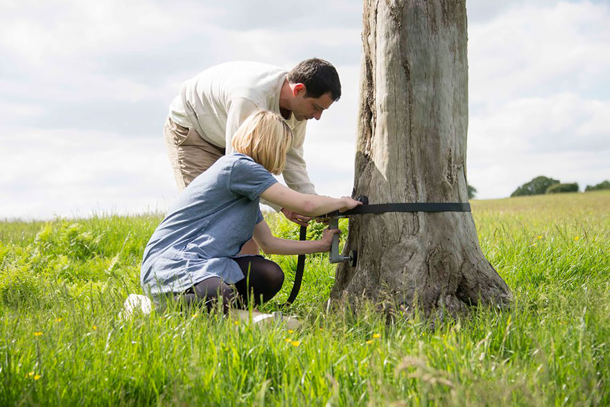 You Can Strap This Spiral Staircase Onto Any Tree Without Tools You Can Strap This Spiral Staircase Onto Any Tree Without Tools