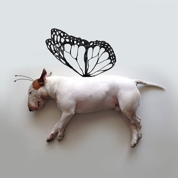 My Wife Left Me With Nothing But A Dog, So I Started This Fun Photo Series My Wife Left Me With Nothing But A Dog, So I Started This Fun Photo Series