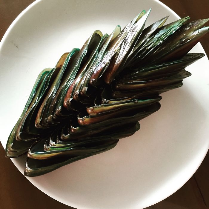 95 Perfect Pics That Will Satisfy Every Perfectionist’s Soul (Part 2) 95 Perfect Pics That Will Satisfy Every Perfectionist’s Soul (Part 2)