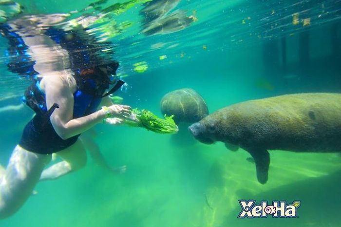 Bucket List: Saying Yes To Life Has Changed My Life Completely Bucket List: Saying Yes To Life Has Changed My Life Completely