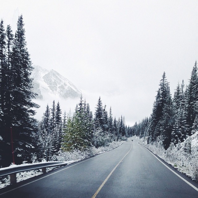 Engineer Quits Job At IBM And Becomes An Instagram Celebrity