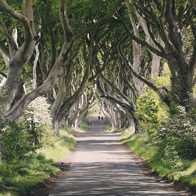 Engineer Quits Job At IBM And Becomes An Instagram Celebrity