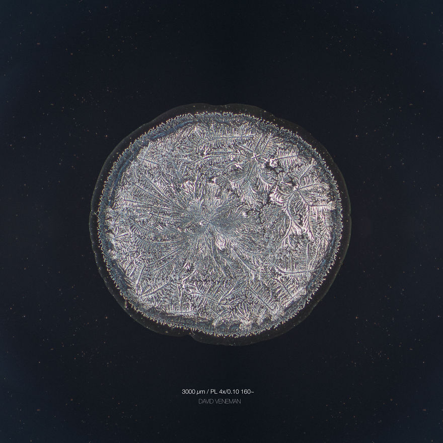 I Photograph Tears To Show That Each Tear Is Unique And Beautiful I Photograph Tears To Show That Each Tear Is Unique And Beautiful