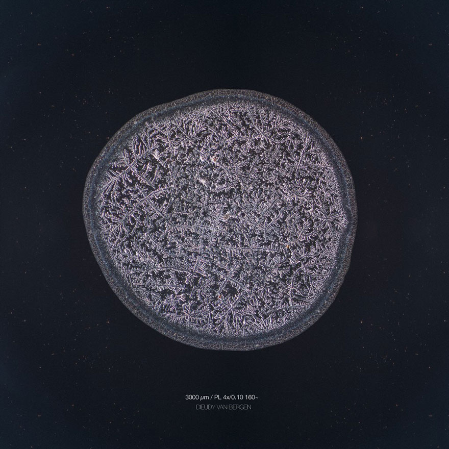 I Photograph Tears To Show That Each Tear Is Unique And Beautiful I Photograph Tears To Show That Each Tear Is Unique And Beautiful