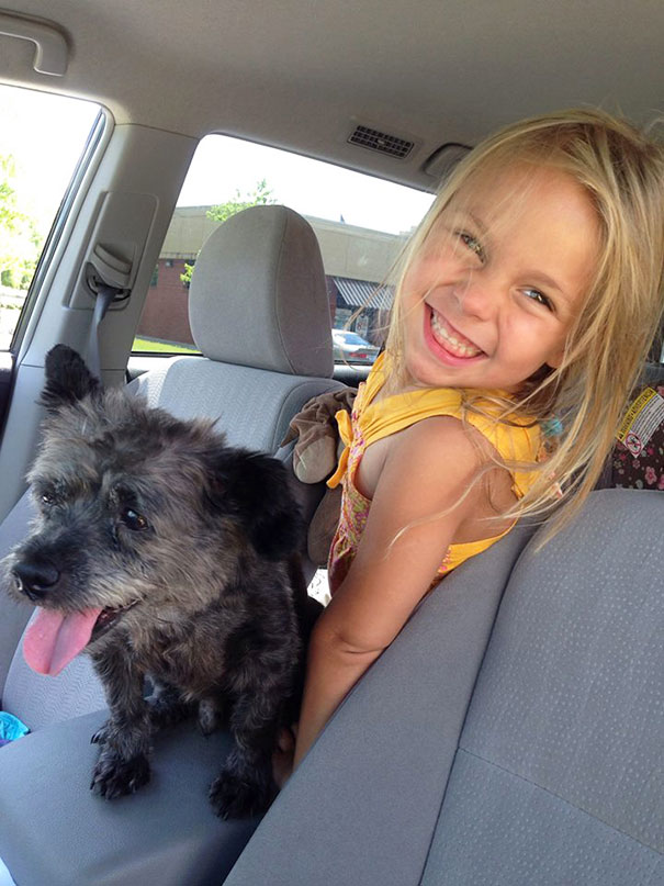 Woman Adopts Dying Dog To Make His Final Days As Happy As Possible Woman Adopts Dying Dog To Make His Final Days As Happy As Possible