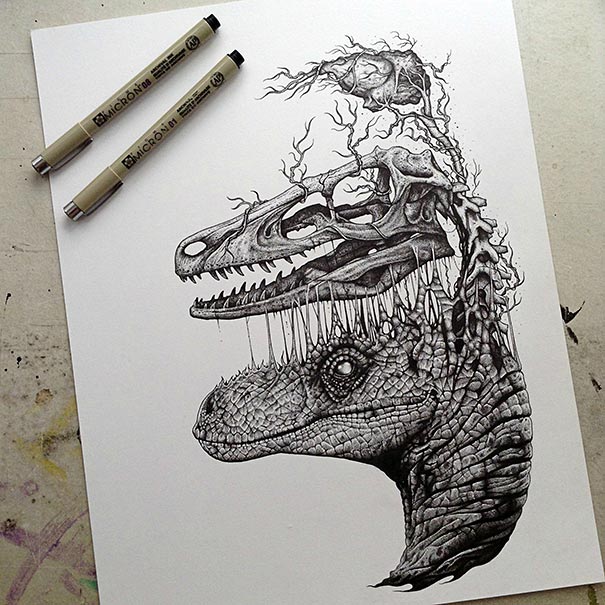 Animals Leave Their Skeletons Behind In Stunning Dark Drawings By Paul Jackson Animals Leave Their Skeletons Behind In Stunning Dark Drawings By Paul Jackson