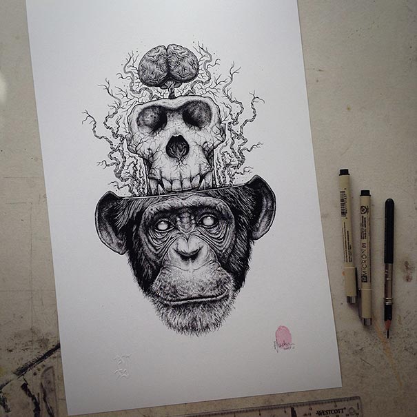Animals Leave Their Skeletons Behind In Stunning Dark Drawings By Paul Jackson Animals Leave Their Skeletons Behind In Stunning Dark Drawings By Paul Jackson