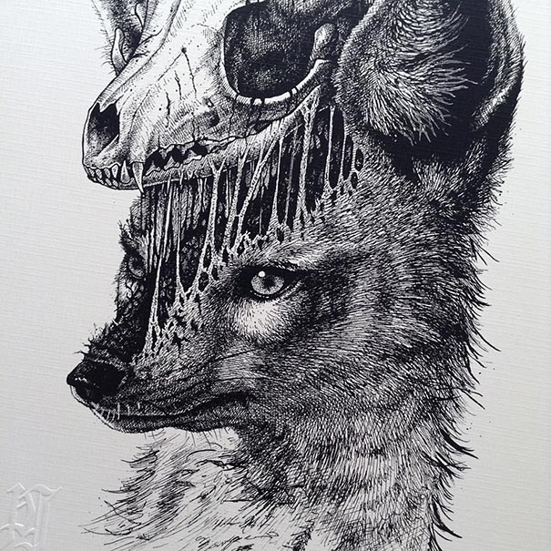Animals Leave Their Skeletons Behind In Stunning Dark Drawings By Paul Jackson Animals Leave Their Skeletons Behind In Stunning Dark Drawings By Paul Jackson