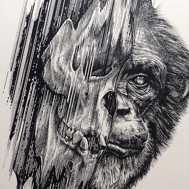 Animals Leave Their Skeletons Behind In Stunning Dark Drawings By Paul Jackson Animals Leave Their Skeletons Behind In Stunning Dark Drawings By Paul Jackson