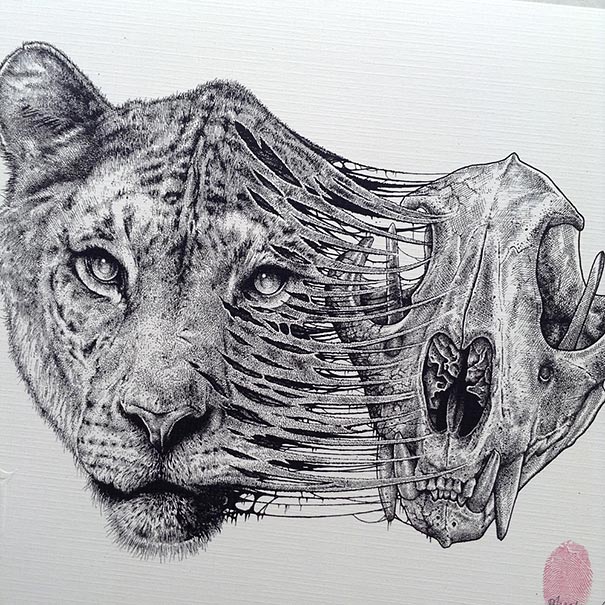 Animals Leave Their Skeletons Behind In Stunning Dark Drawings By Paul Jackson Animals Leave Their Skeletons Behind In Stunning Dark Drawings By Paul Jackson