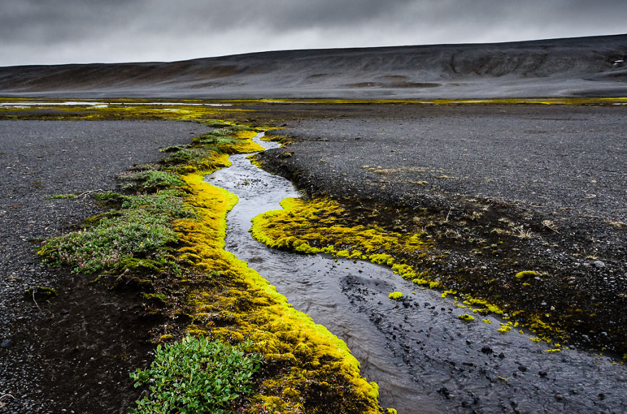 The Grass Is Greener Elsewhere: My Trip To Iceland