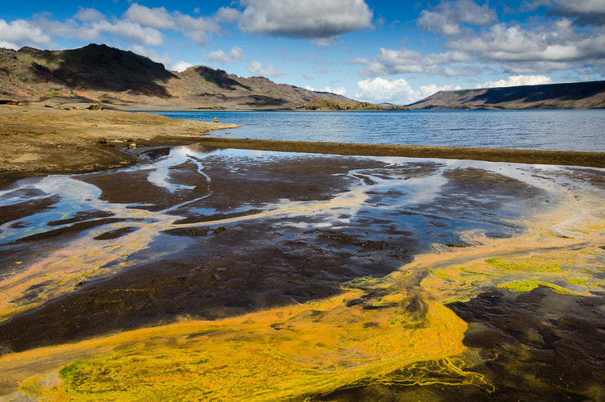 The Grass Is Greener Elsewhere: My Trip To Iceland