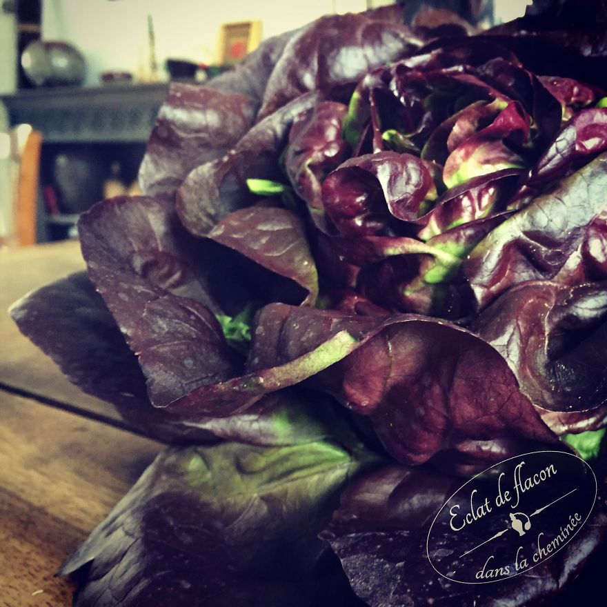 13 Ways To Make Your Countryside Extraordinary 13 Ways To Make Your Countryside Extraordinary