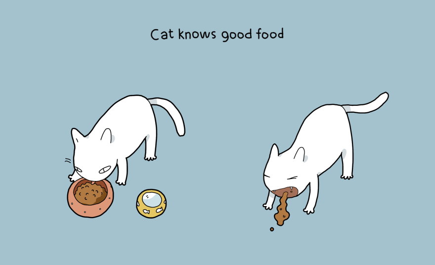 10 Benefits Of Having A Cat 10 Benefits Of Having A Cat