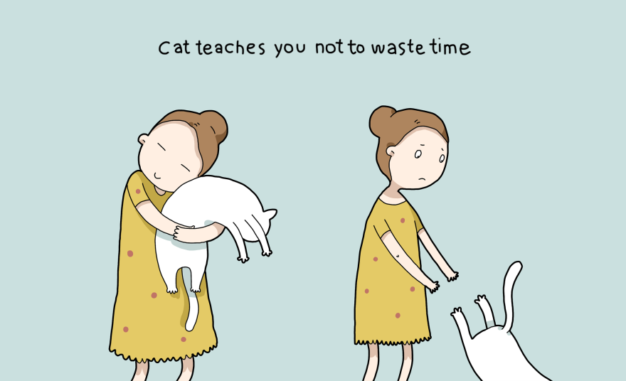 10 Benefits Of Having A Cat 10 Benefits Of Having A Cat