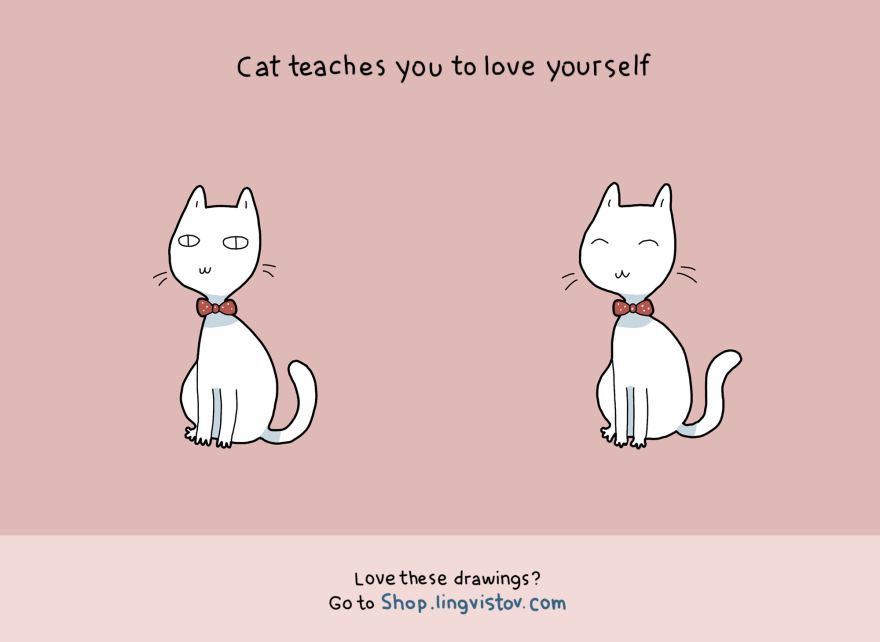 10 Benefits Of Having A Cat 10 Benefits Of Having A Cat