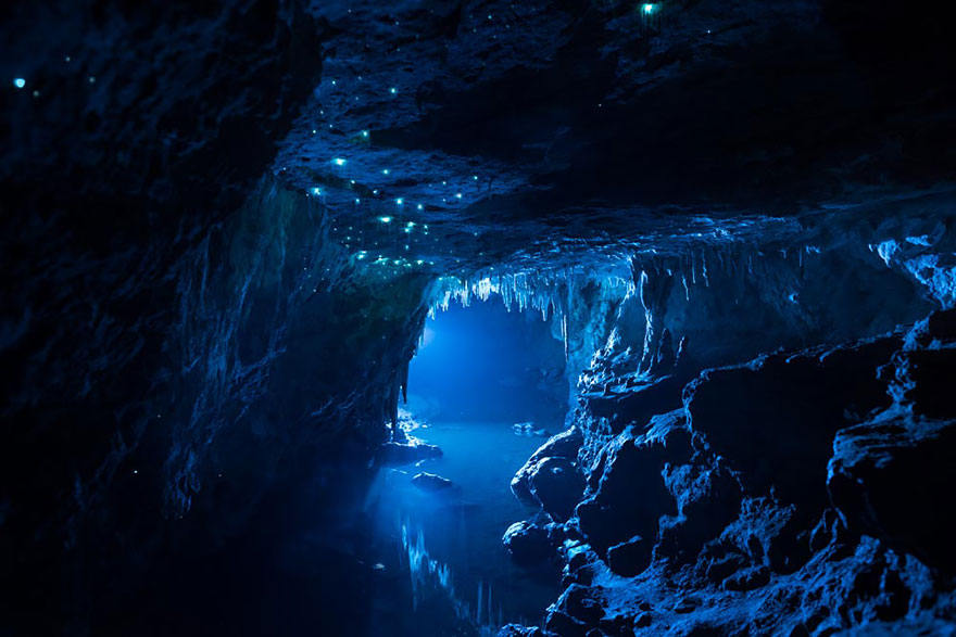Long Exposure Photos Of Glowworms Turn New Zealand Cave Into Starry Night