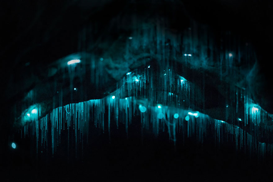 Long Exposure Photos Of Glowworms Turn New Zealand Cave Into Starry Night