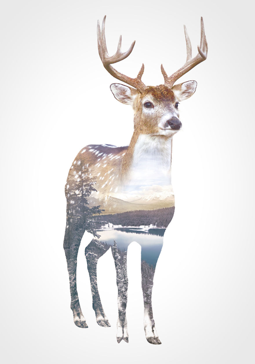 We Take Double-Exposure Animal Portraits To Escape The Daily Routine We Take Double-Exposure Animal Portraits To Escape The Daily Routine