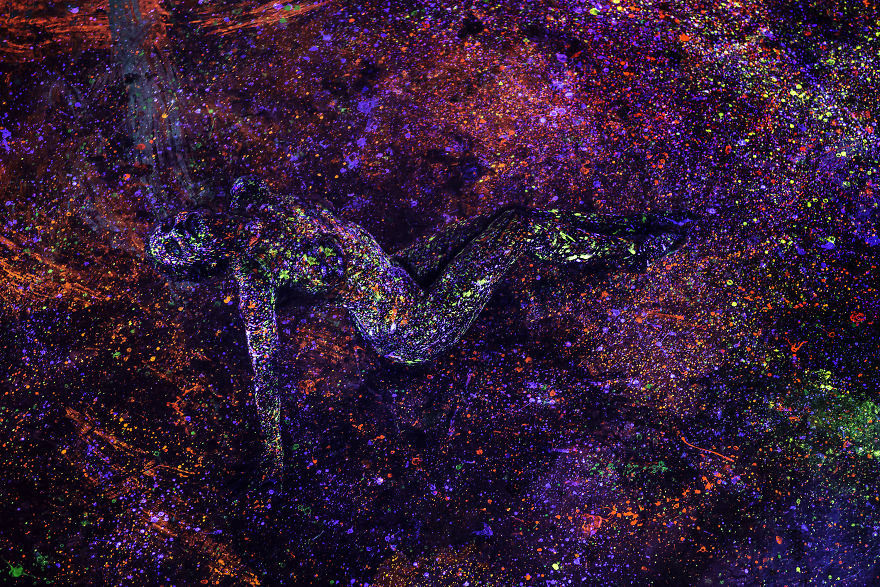 Lost In Infinity Split Lost In Infinity Split