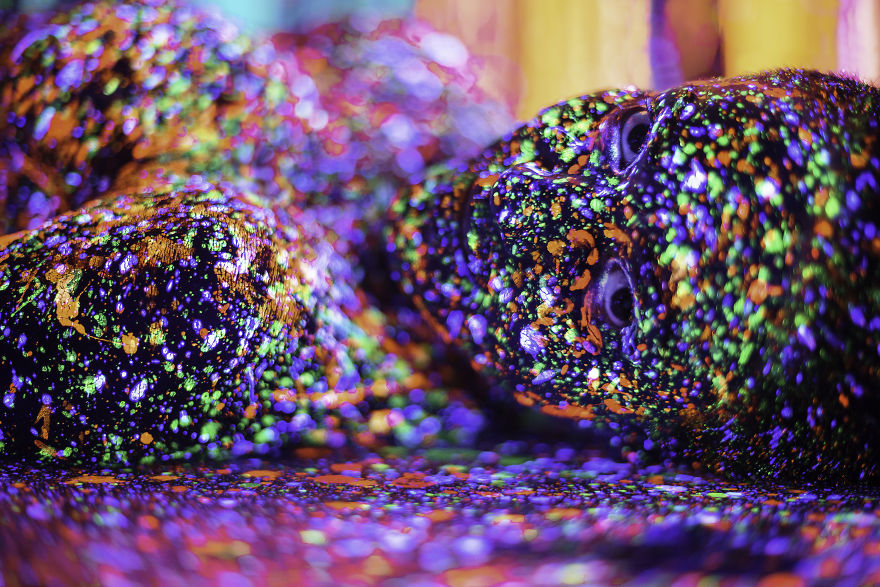 Lost In Infinity Split Lost In Infinity Split