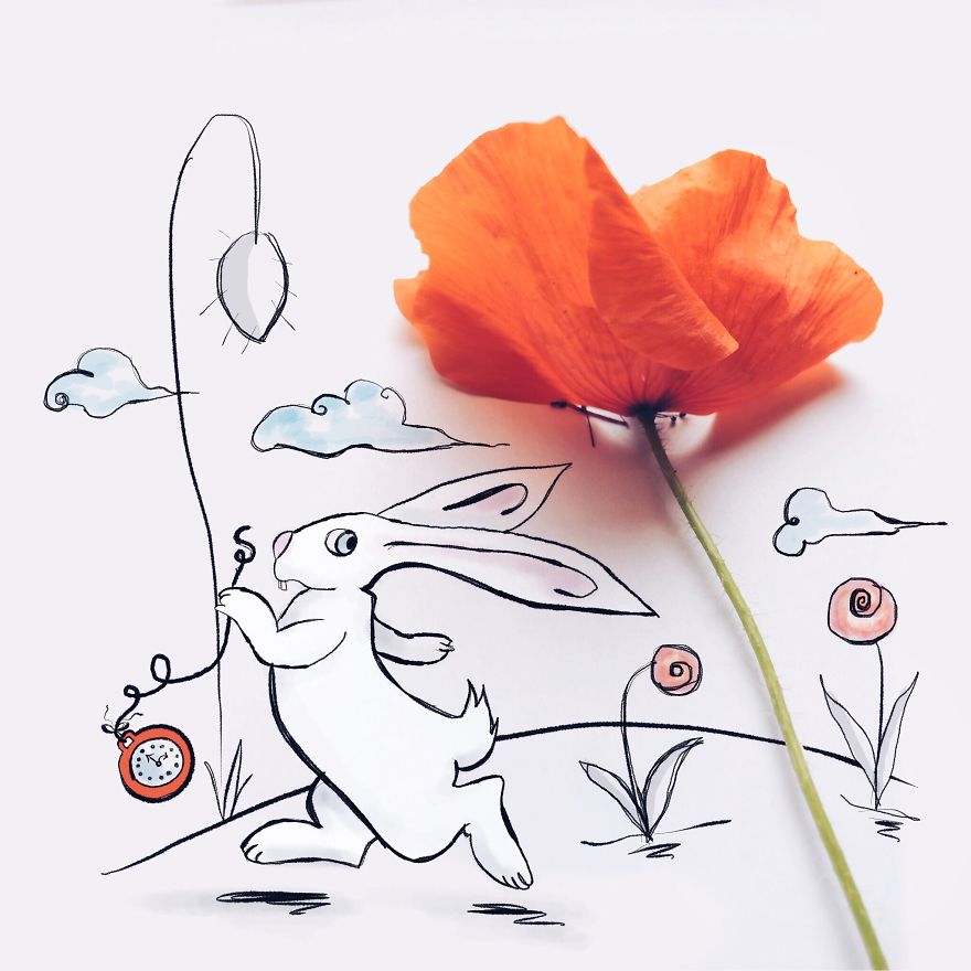 Alice In Poppie Wonderland Alice In Poppie Wonderland