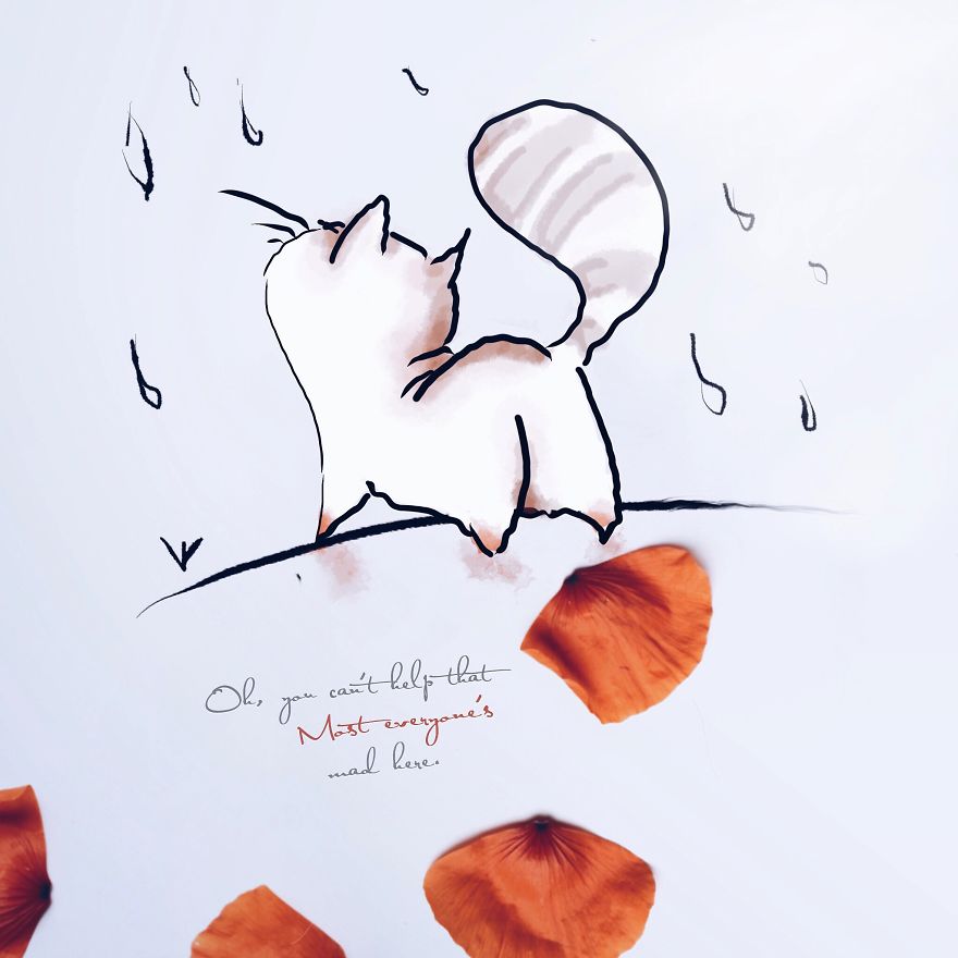 Alice In Poppie Wonderland Alice In Poppie Wonderland