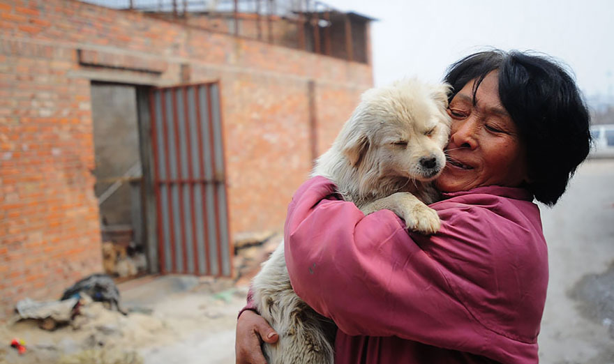Chinese Woman Travels 1,500 Miles And Pays $1,100 To Save 100 Dogs From Chinese Dog-Eating Festival Chinese Woman Travels 1,500 Miles And Pays $1,100 To Save 100 Dogs From Chinese Dog-Eating Festival
