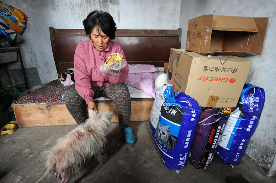 Chinese Woman Travels 1,500 Miles And Pays $1,100 To Save 100 Dogs From Chinese Dog-Eating Festival Chinese Woman Travels 1,500 Miles And Pays $1,100 To Save 100 Dogs From Chinese Dog-Eating Festival