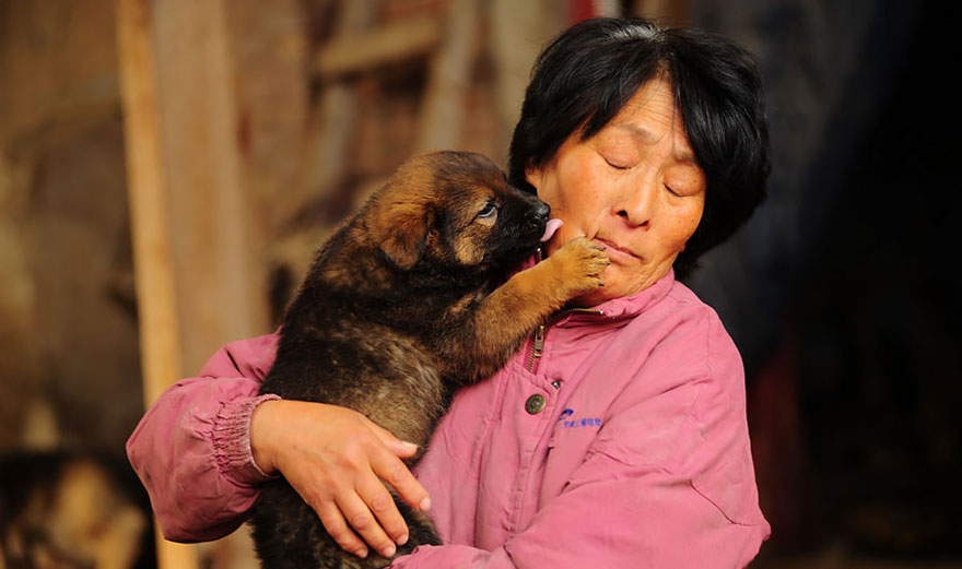 Chinese Woman Travels 1,500 Miles And Pays $1,100 To Save 100 Dogs From Chinese Dog-Eating Festival Chinese Woman Travels 1,500 Miles And Pays $1,100 To Save 100 Dogs From Chinese Dog-Eating Festival