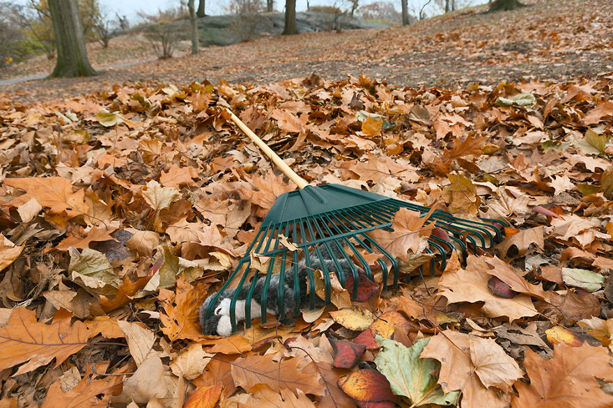 A Darkly Humorous Look At Crime Scene Photography