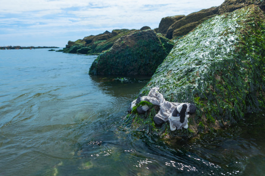 A Darkly Humorous Look At Crime Scene Photography