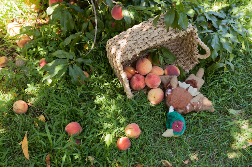 A Darkly Humorous Look At Crime Scene Photography