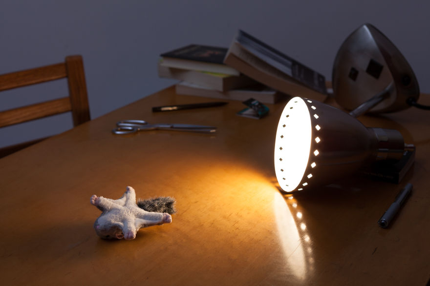 A Darkly Humorous Look At Crime Scene Photography