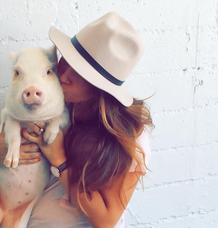 Meet Hamlet, The Piggy Who Saved My Life