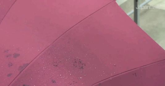 These Japanese Umbrellas Reveal Hidden Patterns When Wet