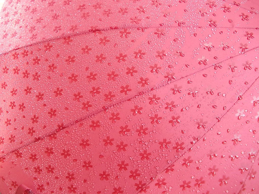 These Japanese Umbrellas Reveal Hidden Patterns When Wet