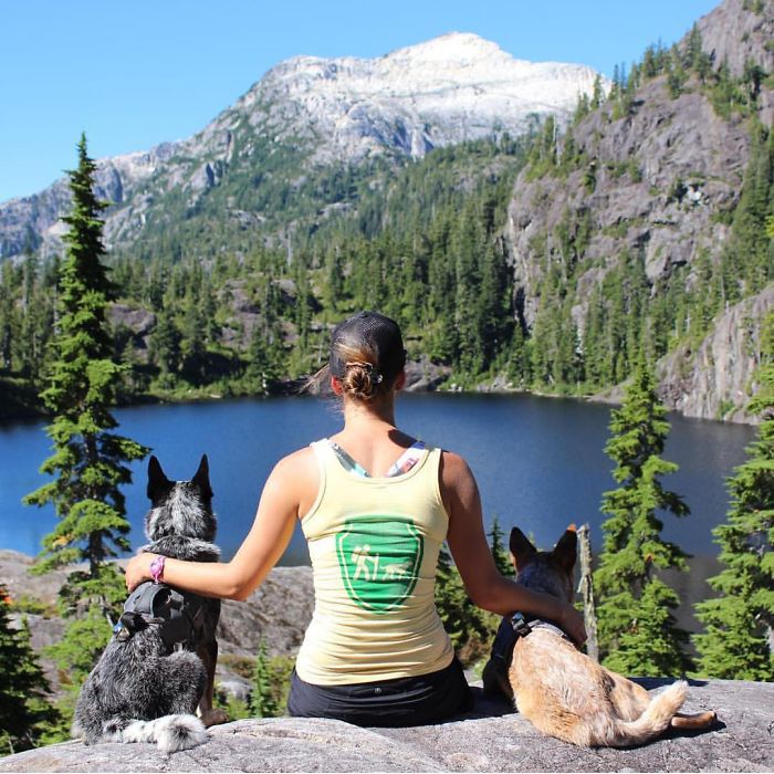&#8220;Camping With Dogs&#8221; Instagram Will Inspire You To Go Hiking With Your Dog