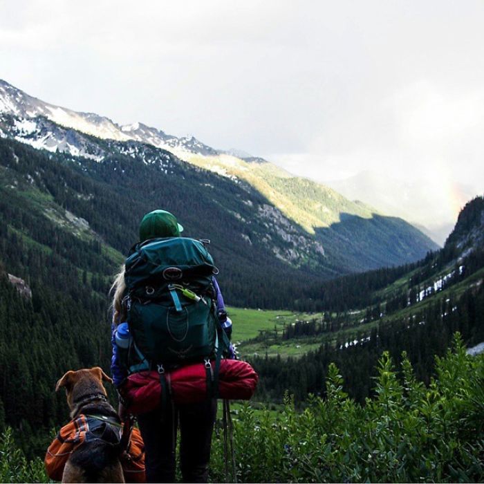 &#8220;Camping With Dogs&#8221; Instagram Will Inspire You To Go Hiking With Your Dog